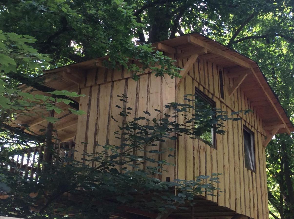 Ober-AbtsteinachHaus Dreil公寓 外观 照片
